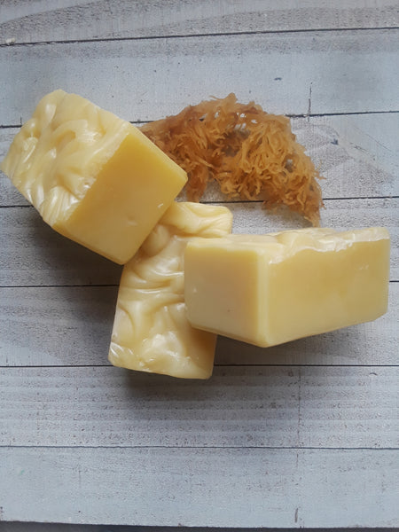 Rosemary Sea Moss Bar Soap - Limited Time Only **